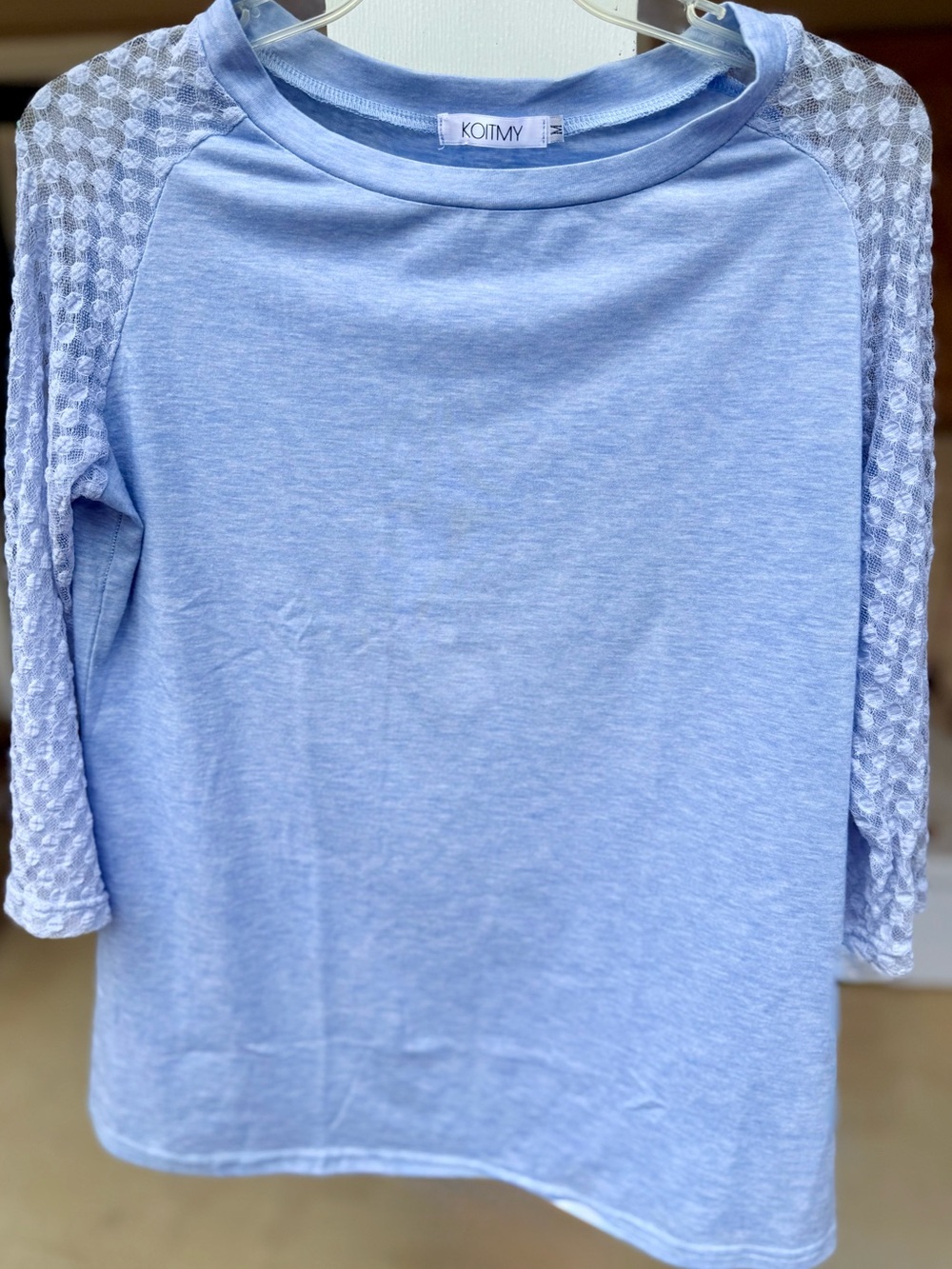 Light Blue Lace Sleeve Top